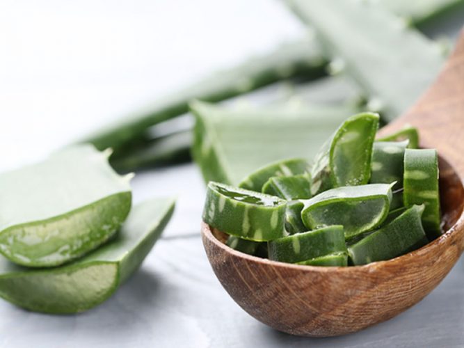 El poder hidratante del Aloe Vera en la piel